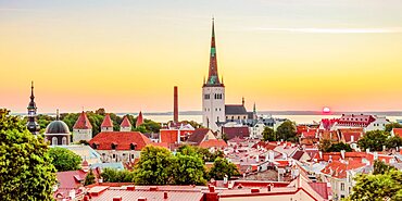 View over the Old Town towards St Olaf's Church at sunrise, Tallinn, Estonia