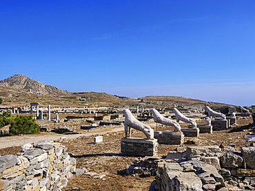 The Terrace of the Lions, Delos Archaeological Site, UNESCO World Heritage Site, Delos Island, Cyclades, Greek Islands, Greece, Europe