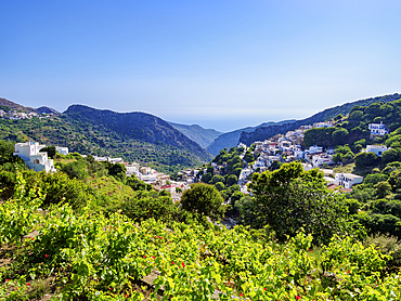 Vineyard and Koronos Village, elevated view, Naxos Island, Cyclades, Greek Islands, Greece, Europe