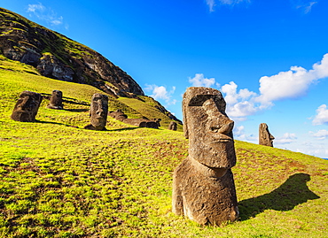 Moais at the quarry on the slope of the Rano Raraku Volcano, Rapa Nui National Park, UNESCO World Heritage Site, Easter Island, Chile, South America