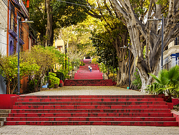 Stairway to Cerro del Fortin, Oaxaca de Juarez, Oaxaca State, Mexico