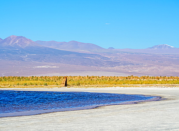 Laguna Baltinache, Salar de Atacama, Antofagasta Region, Chile, South America