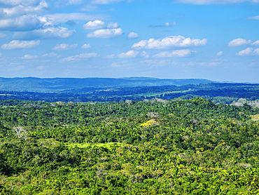 Landscape seen from Xunantunich Archaeological Site, Cayo District, Belize