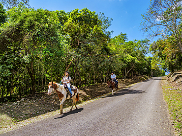People riding horses on the road to Xunantunich Archaeological Site, Cayo District, Belize
