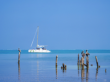 Sailboat by the Caye Caulker, Belize District, Belize