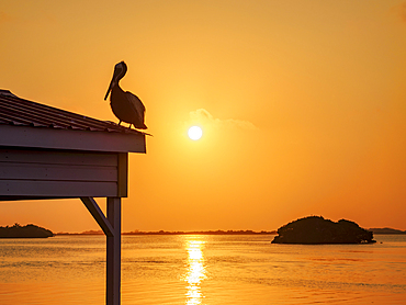 San Pedro Lagoon at sunset, San Pedro Town, Ambergris Caye, Belize District, Belize