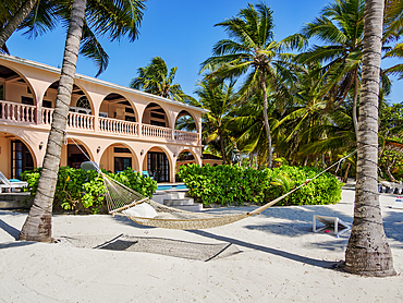 Hammock at the waterfront of San Pedro Town, Ambergris Caye, Belize District, Belize