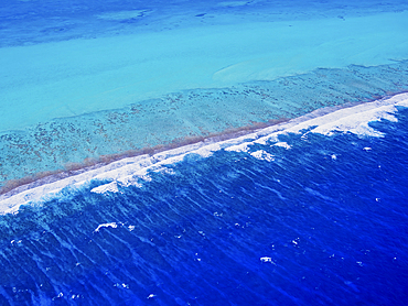 Lighthouse Reef, aerial view, Belize District, Belize