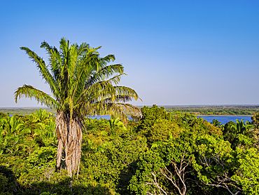View from the High Temple towards the New River, Lamanai Archaeological Reserve, Orange Walk District, Belize
