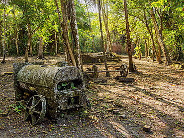 19th-Century Sugar Mill Ruins near Lamanai Archaeological Reserve, Indian Church, Orange Walk District, Belize