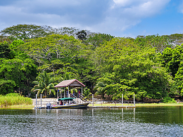 New River at Lamanai, Orange Walk District, Belize