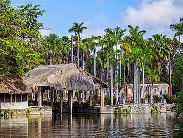 The Mayan Garden seen from the New River, Tower Hill, Orange Walk District, Belize
