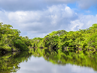 New River, Orange Walk District, Belize