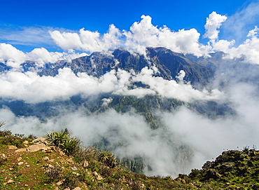 Colca Canyon, Cruz del Condor, Arequipa Region, Peru, South America