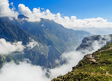 Canyon Colca View Point, Cruz del Condor, Arequipa Region, Peru, South America