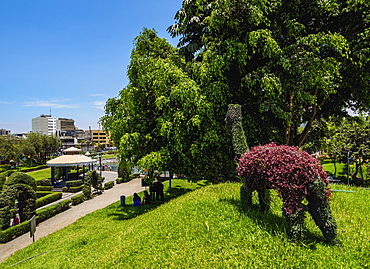 Green Llama in Parque de la Amistad (Friendship Park), Santiago de Surco District, Lima, Peru, South America