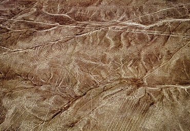 The Monkey Geoglyph, aerial view, Nazca, UNESCO World Heritage Site, Ica Region, Peru, South America