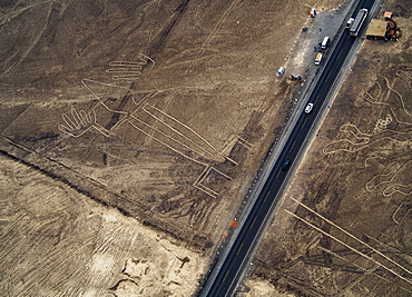 The Lizard Geoglyph, aerial view, Nazca, UNESCO World Heritage Site, Ica Region, Peru, South America