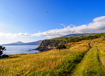 South Coast, Faial Island, Azores, Portugal, Atlantic, Europe