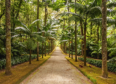 Terra Nostra Park, Furnas, Sao Miguel Island, Azores, Portugal, Atlantic, Europe