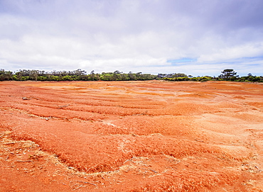 Barreiro da Faneca, Red Desert, Santa Maria Island, Azores, Portugal, Atlantic, Europe