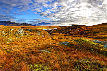 An autumn view of the colorful grass covered hills and moors of Kentra Bay as mist forms below the mountains on the horizon, Highlands, Scotland, United Kingdom, Europe