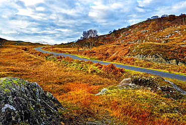 A winter view of a remote winding road through the colorful moors and hills of Ardnamurchan peninsula, Scottish Highlands, Scotland, United Kingdom, Europe