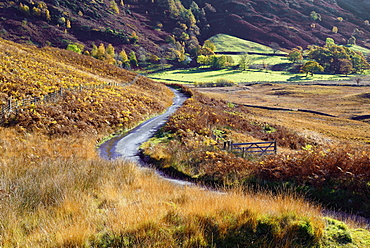 An autumn view of a gate and winding road through the fern covered hills and fells of Langdale Valley in the Lake District National Park, Cumbria, England, United Kingdom, Europe