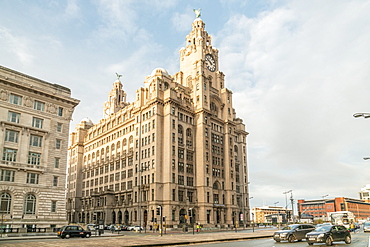 Royal Liver Building in Liverpool, England, Europe