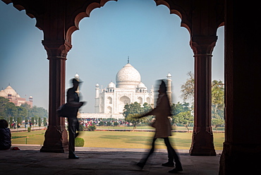 The Taj Mahal, UNESCO World Heritage Site, Agra, Uttar Pradesh, India, Asia