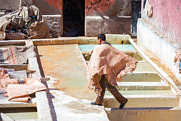 Marrakech Tanneries, Marrakesh, Morocco, North Africa, Africa