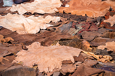 Marrakech Tanneries, Marrakesh, Morocco, North Africa, Africa