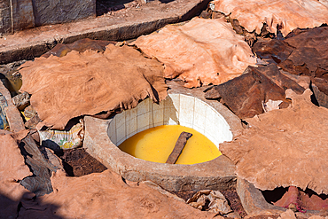 Marrakech Tanneries, Marrakesh, Morocco, North Africa, Africa