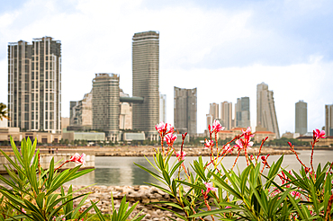 Port City, Colombo Sri Lanka January 2025