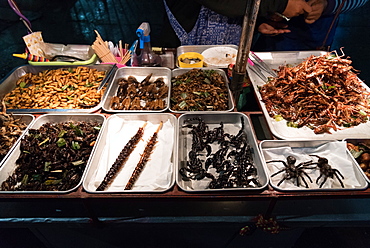 Street food of deep fried insects and bugs, Bangkok, Thailand, Southeast Asia, Asia