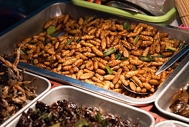 Street food of maggots and crickets, Bangkok, Thailand, Southeast Asia, Asia