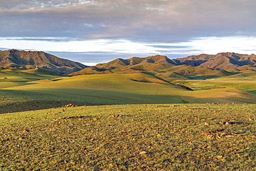 Hills and mountains, Bayandalai district, South Gobi province, Mongolia, Central Asia, Asia