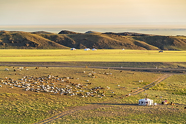 Nomadic camp and livestock, Bayandalai district, South Gobi province, Mongolia, Central Asia, Asia