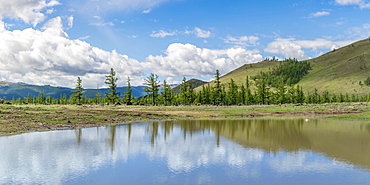 Water pond and fir trees in White Lake National Park, Tariat district, North Hangay province, Mongolia, Central Asia, Asia