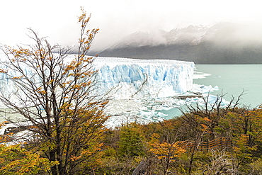 Perito Moreno with trees, Lago Argentino and mountains in autumn, Los Glaciares National Park, UNESCO World Heritage Site, Santa Cruz Province, Argentina, South America