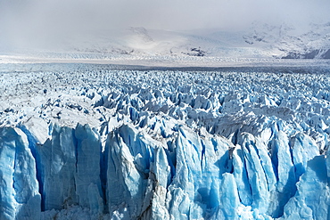 Close up on the ice of Perito Moreno glacier, Los Glaciares National Park, UNESCO World Heritage Site, Santa Cruz, Argentina, South America