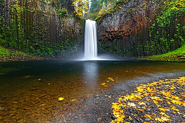 Abiqua Falls in autumn, Scotts Mills, Marion county, Oregon, United States of America, North America