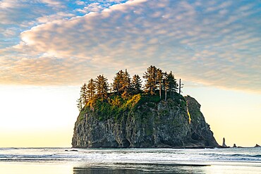 Sea stack at dawn at Second Beach, La Push, Clallam county, Washington State, United States of America, North America