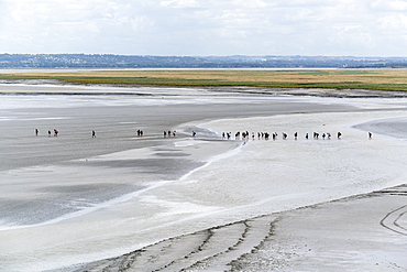 People walking on the sand during low tide, Mont-Saint-Michel, Normandy, France, Europe