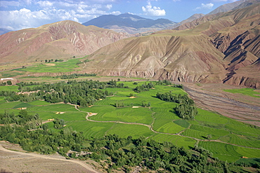 Rice fields and terracing in a valley in the Shahrak region, Iran, Middle East