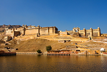 Amber Fort overlooking Maota Lake, Jaipur, Rajasthan, India, Asia