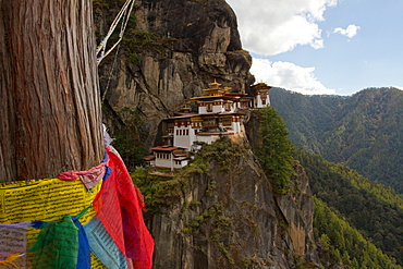 The Taktsang (Tigers Nest) Monastery, Paro, Bhutan, Himalayas, Asia