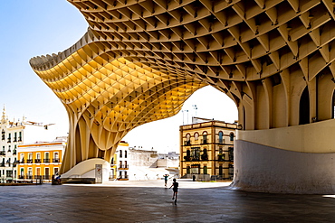 The Metropol Parasol, a wooden structure located at La Encarnacion Square, in the old quarter, Seville, Andalusia, Spain, Europe