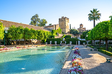 Lion Tower and a pond with fountains in the gardens of the Alcazar de Los Reyes Cristianos, UNESCO World Heritage Site, Cordoba, Andalusia, Spain, Europe