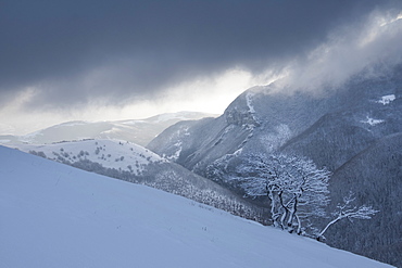 Winter in the Apennines, Motette, Umbria, Italy, Europe